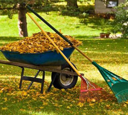 Fall Cleanup Carpentersville Bright, How To Clean Up Landscaping